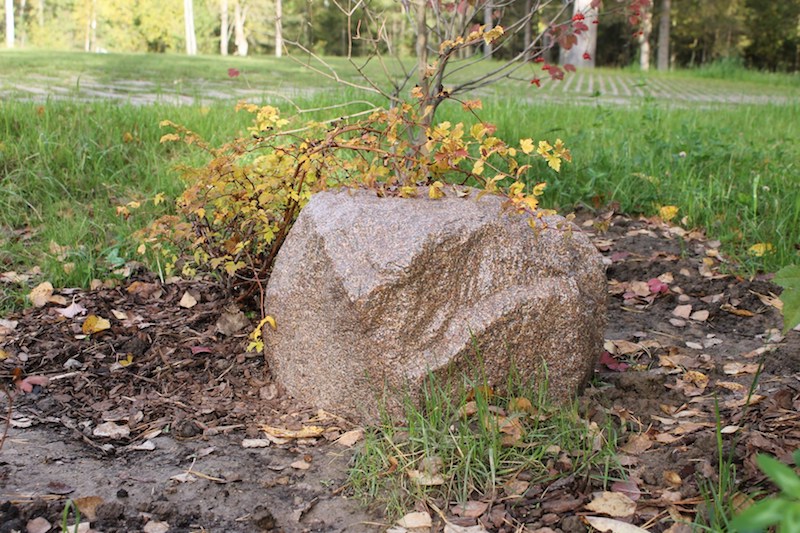 Камень из стеклопластика в ландшафте